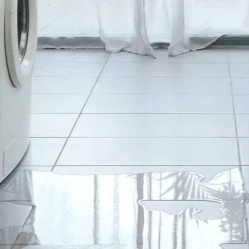 Appliance Leak Cleanup in Inman, SC