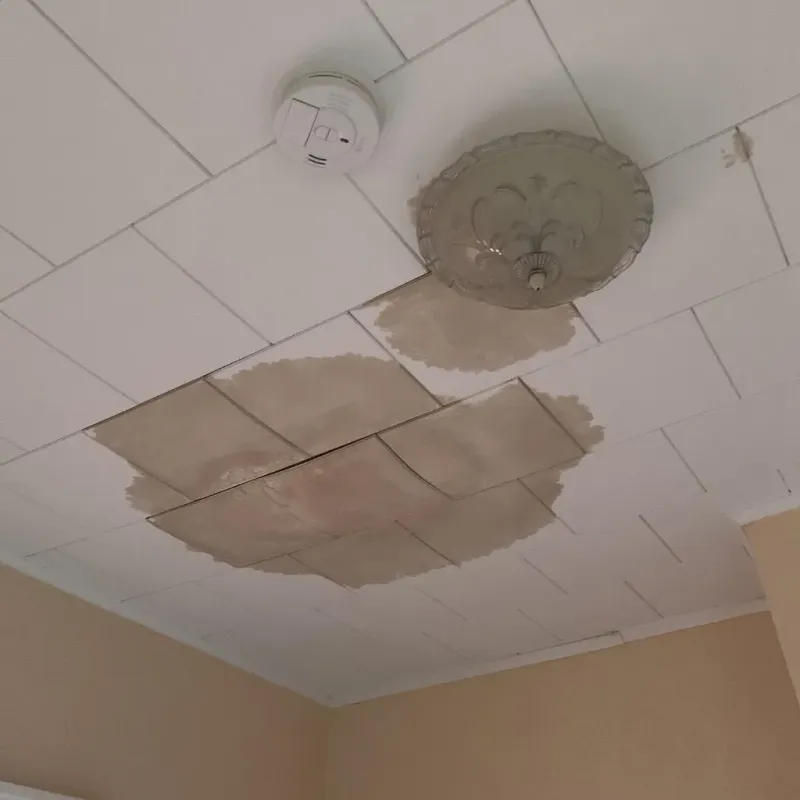 Ceiling Water Damage Repair in Inman, SC